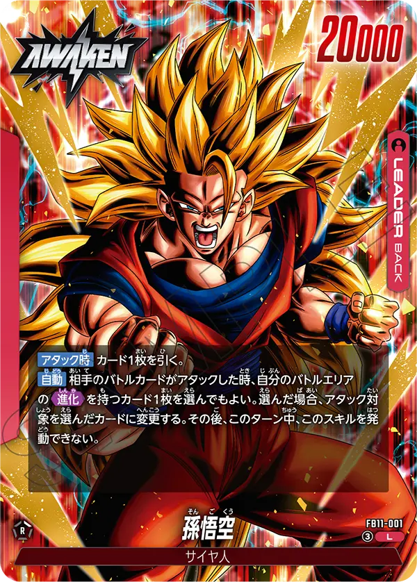 FB11-001_b